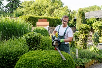 Commercial Garden Maintenance detail