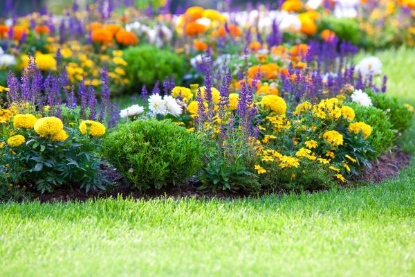 Flower Bed Maintenance in Battle Ground