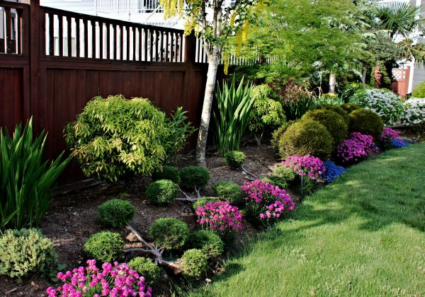 Garden Care Service in Battle Ground