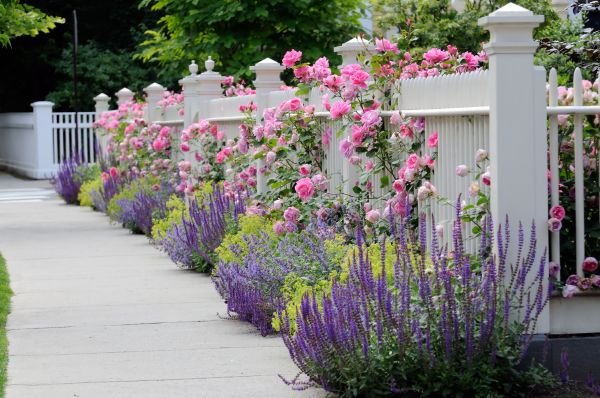 Garden Handyman Service in Battle Ground