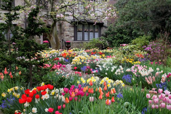 Garden Maintenance Service in Battle Ground
