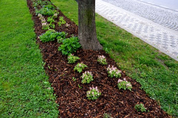 Mulch Replacement Service in Battle Ground
