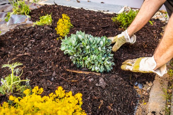 Weeding And Mulching in Battle Ground