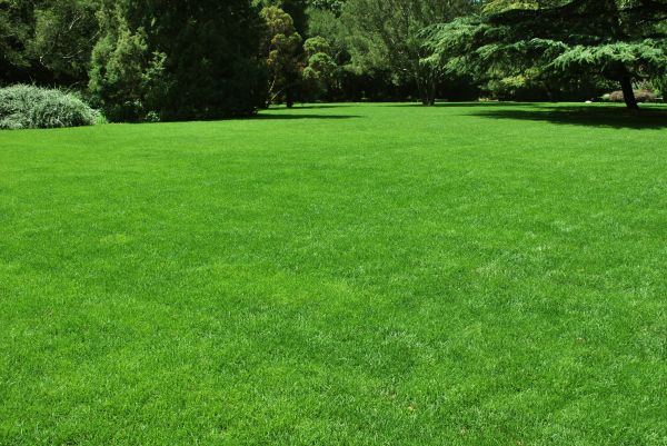 Lawn Landscaping in Battle Ground