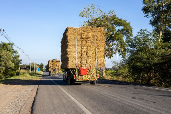 Pine Straw Delivery in Battle Ground