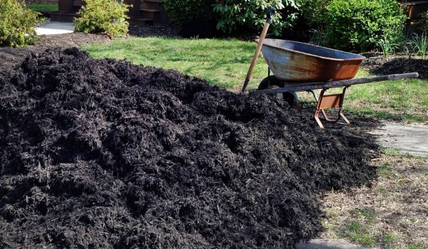 Black Mulch Delivery in Battle Ground