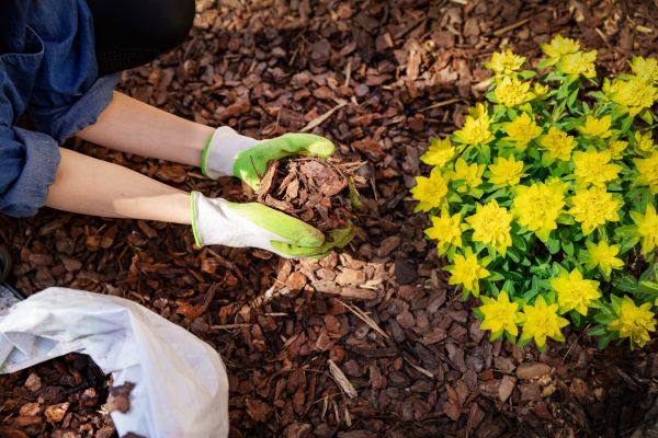 Garden Mulching in Battle Ground