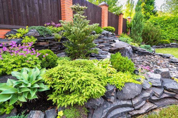 Landscape Remodeling in Battle Ground