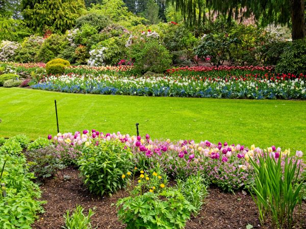 Residential Landscape Design in Battle Ground