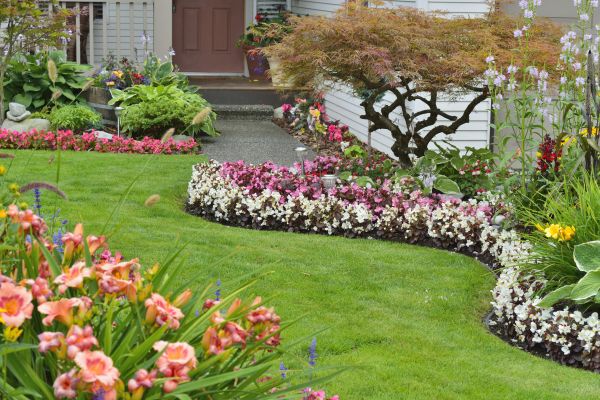 Perennial Landscaping in Battle Ground
