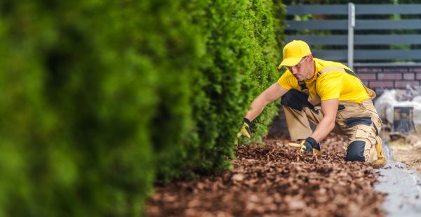 Cypress Mulch Installation in Battle Ground