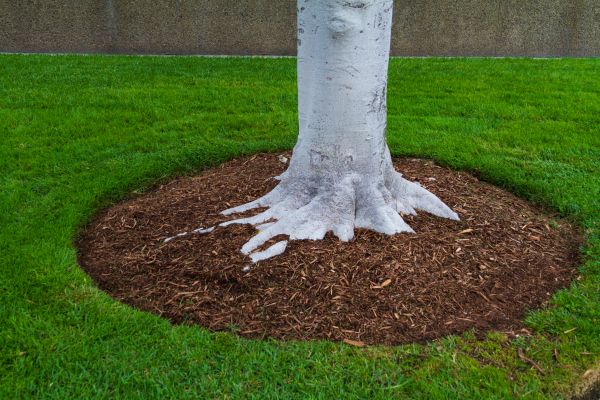 Brown Mulch Installation in Battle Ground