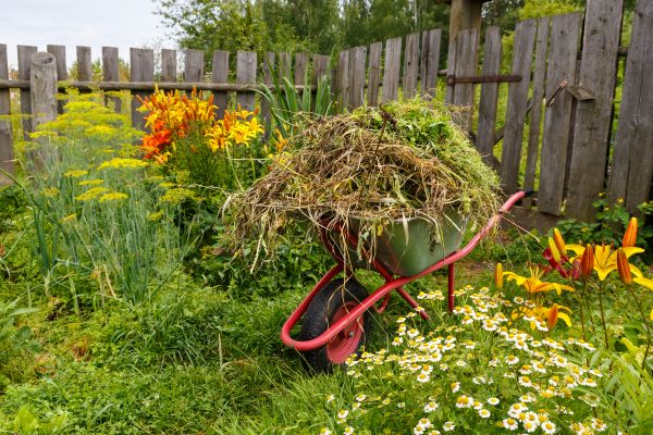Garden Cleanup Service in Battle Ground