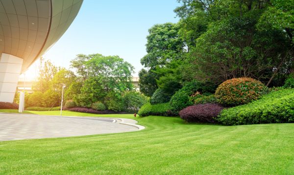 Business Landscape Design in Battle Ground