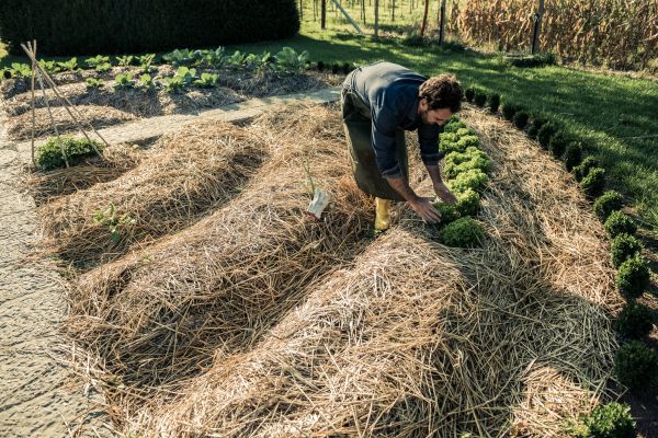 Straw Mulching Service in Battle Ground