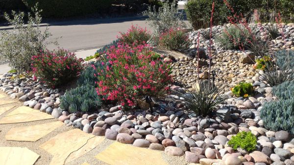 Xeriscape Landscaping in Battle Ground