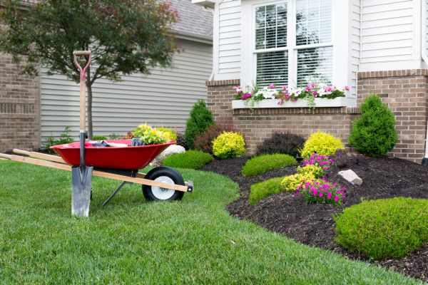 Tree And Shrub Planting in Battle Ground