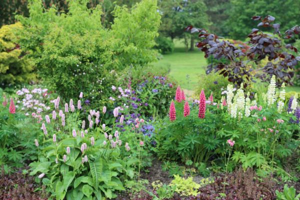 Flower Bed Planting in Battle Ground