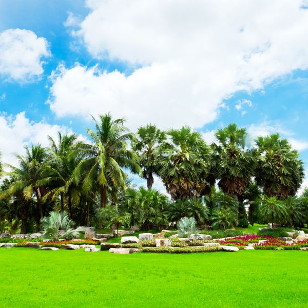 Tropical Landscaping in Battle Ground