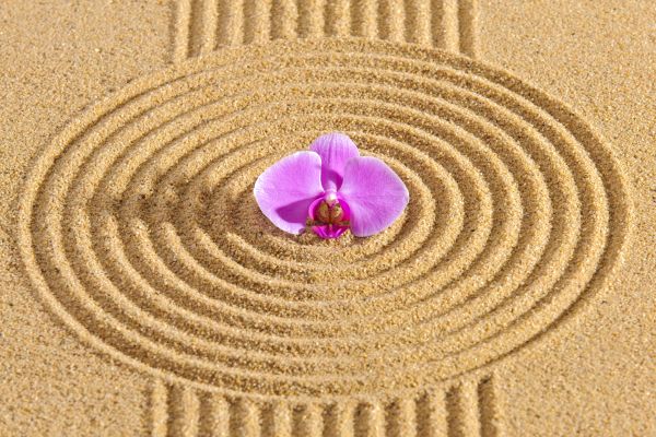 Sand Garden Landscaping in Battle Ground