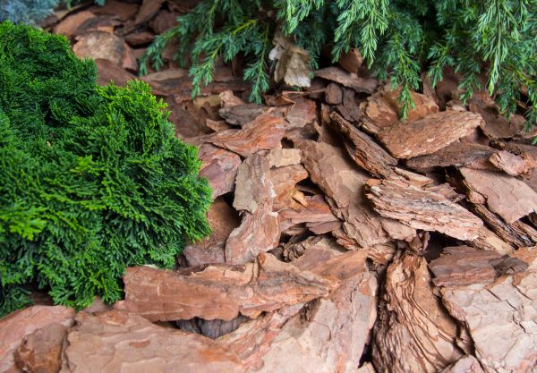 Pine Bark Installation in Battle Ground