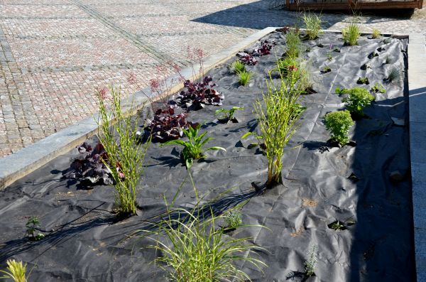Landscape Fabric Installation in Battle Ground