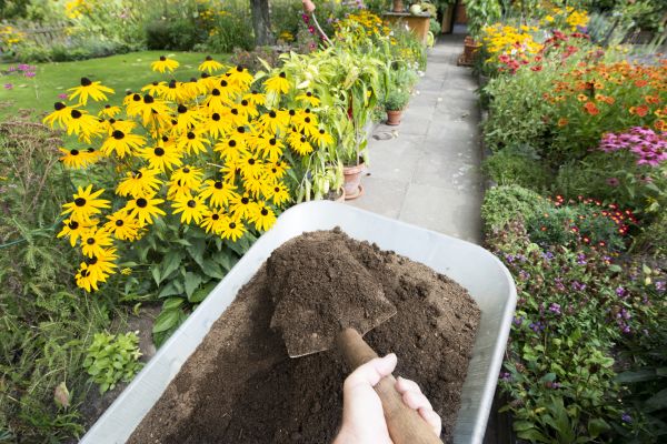 Topsoil Replacement in Battle Ground