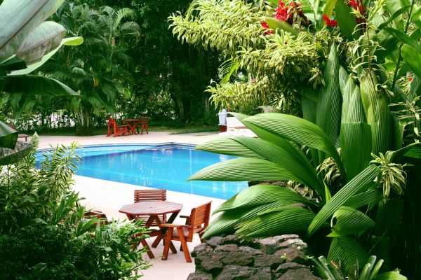 Pool Area Landscaping in Battle Ground