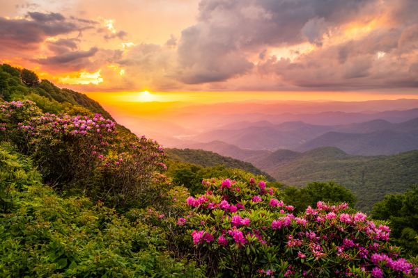 Hill Landscaping in Battle Ground