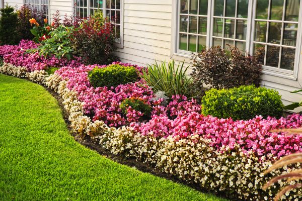 House Landscaping in Battle Ground