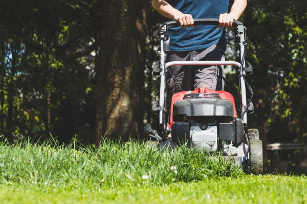 Garden Trimming Service in Battle Ground