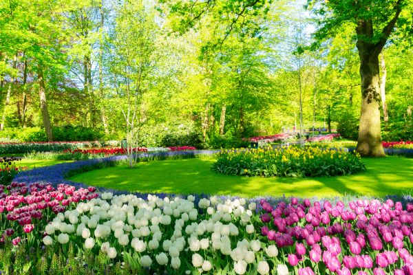 Flower Landscaping in Battle Ground
