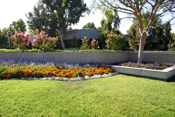 Commercial Landscape Service in Battle Ground