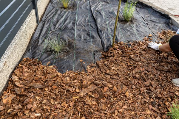 Pine Bark Spreading in Battle Ground