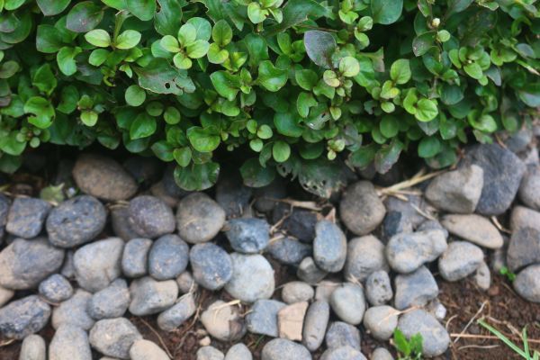 River Stone Installation in Battle Ground