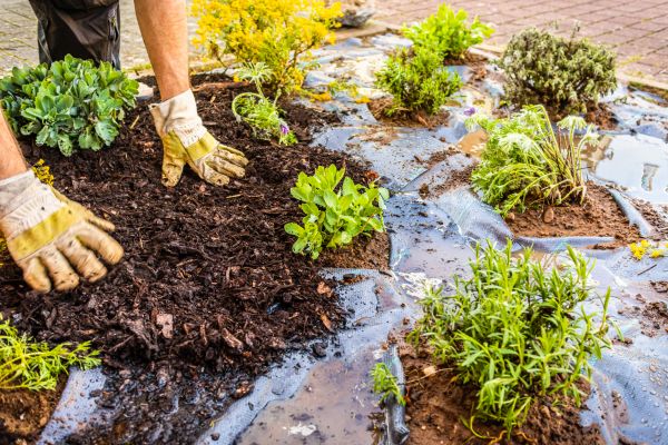 Mulch Fabric Installation in Battle Ground