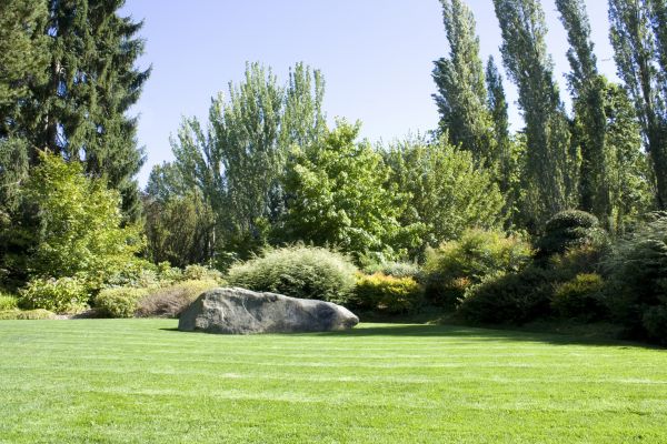 Yard Enlargement in Battle Ground