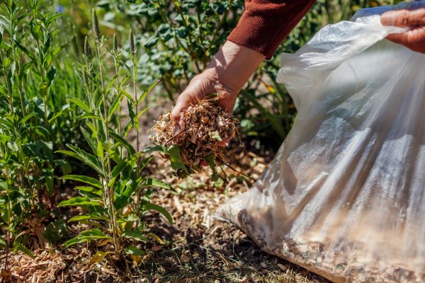 Wood Mulch Installation in Battle Ground