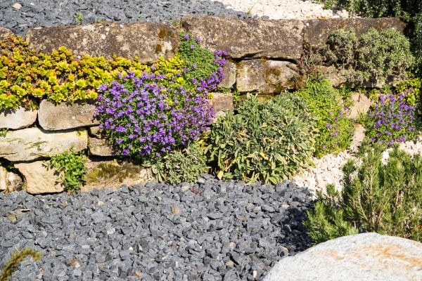 Landscaping Rocks Installation in Battle Ground
