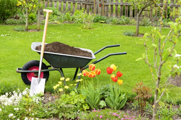 Spring Yard Renovation in Battle Ground