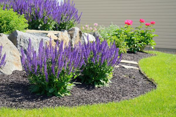 Landscape Planting Service in Battle Ground