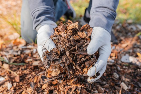 Shredded Mulch Installation in Battle Ground