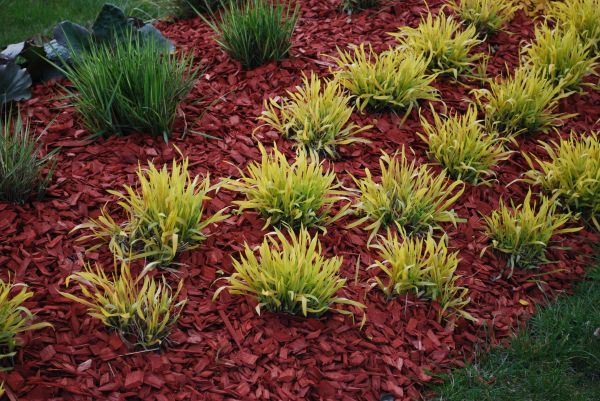 Red Mulch Installation in Battle Ground