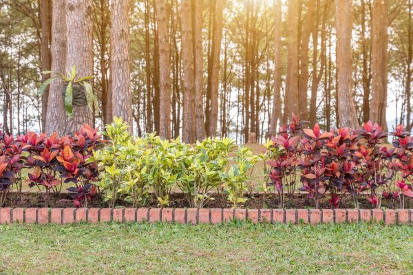 Small Garden Landscaping in Battle Ground