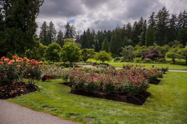 Flower Garden Landscaping in Battle Ground