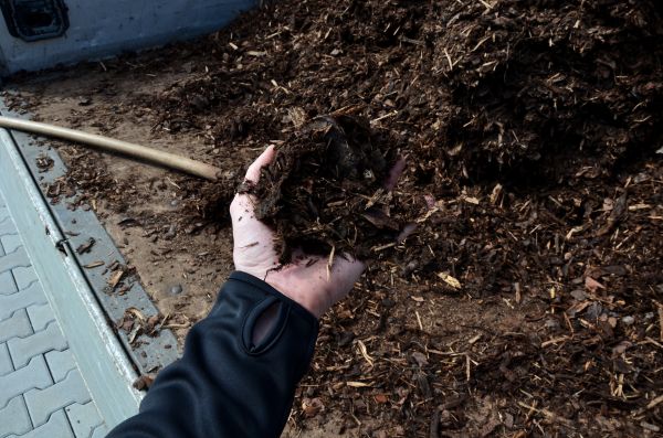 Condo Mulching in Battle Ground